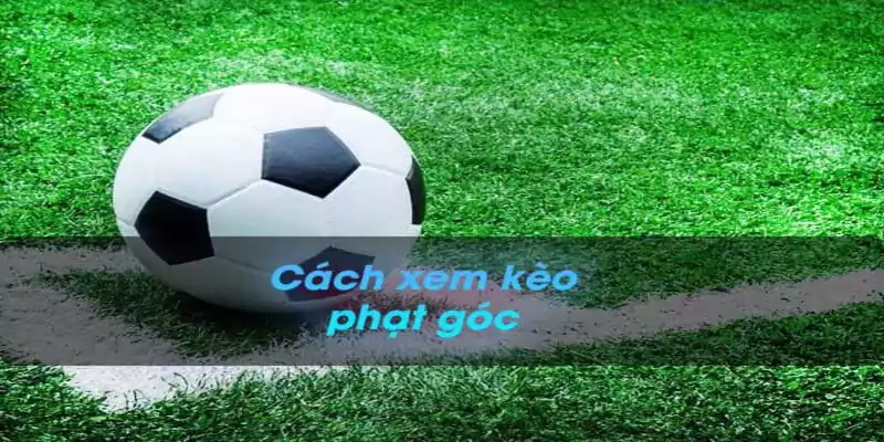 Hướng Dẫn Đọc Kèo Và Chơi Kèo Tài Xỉu Bóng Đá 10 Cách để người chơi hiểu thêm về kèo tài xỉu phạt góc